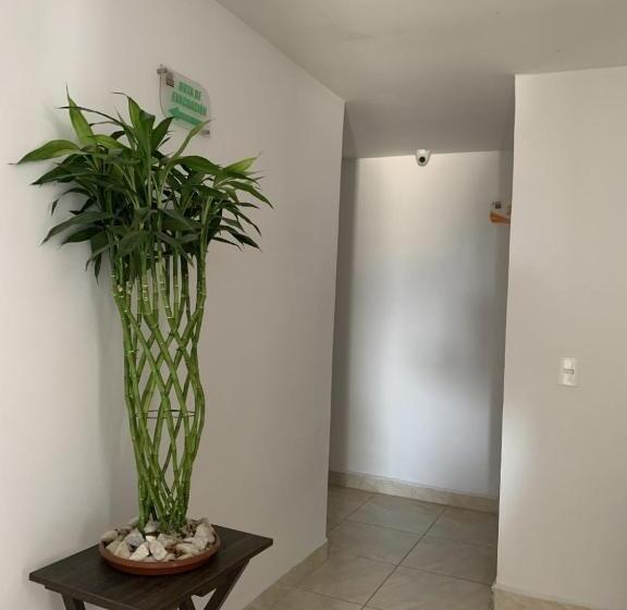 이코노미 룸, Mirador San Esteban