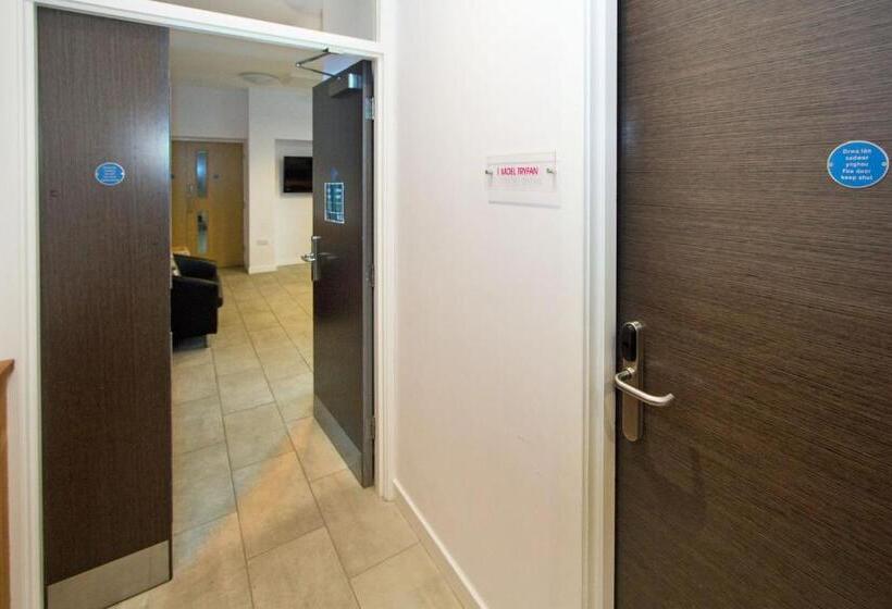 غرفة قياسية رباعية, Canolfan Y Fron