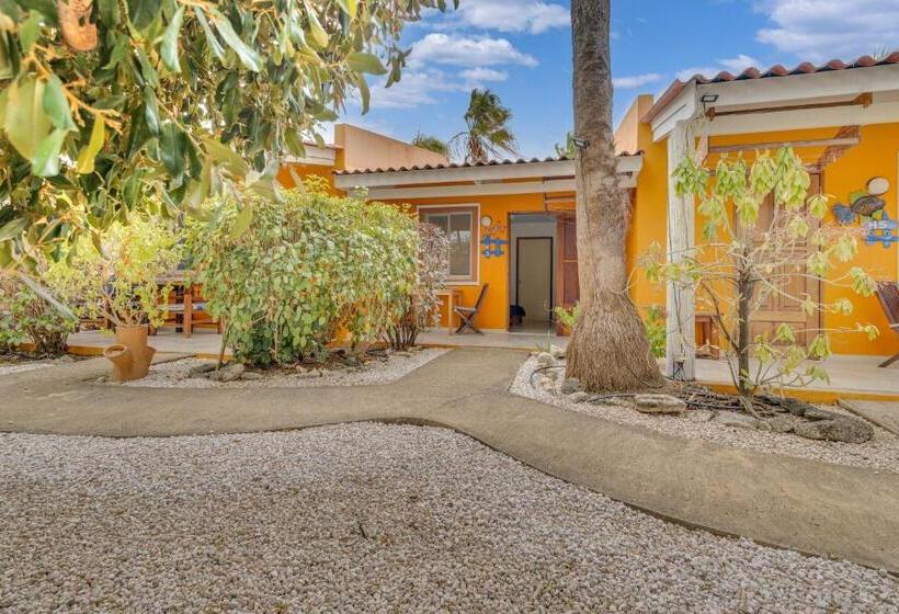 اتاق استاندارد با چشمانداز باغ, Tropical Divers Resort