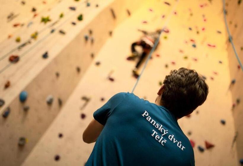 带1个卧室的公寓, Penzion Panský Dvůr Telč