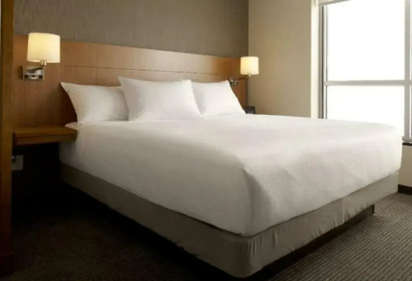 キングサイズベッドのスタンダードルーム, Hyatt Place Detroit/royal Oak