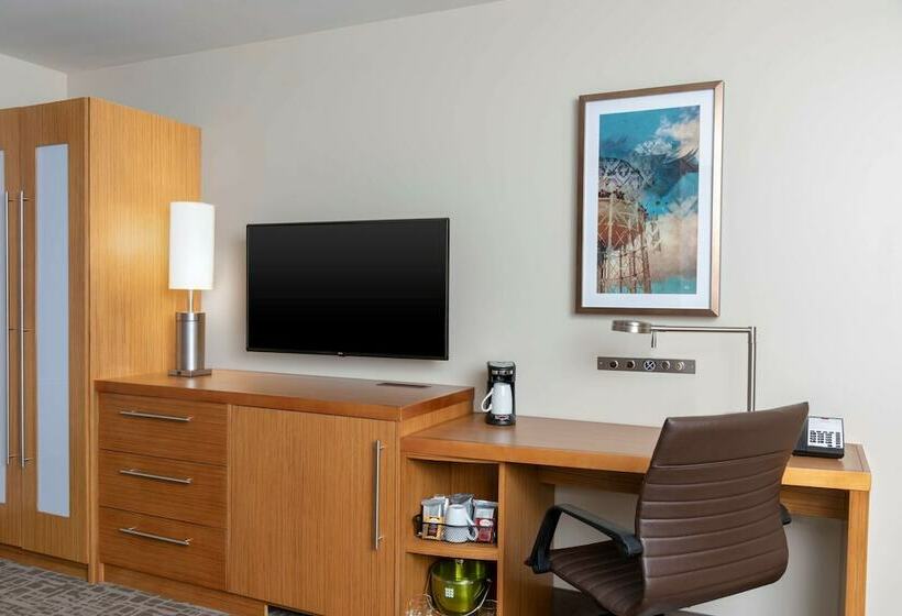Quarto Estandar, Hyatt Place Detroit/royal Oak