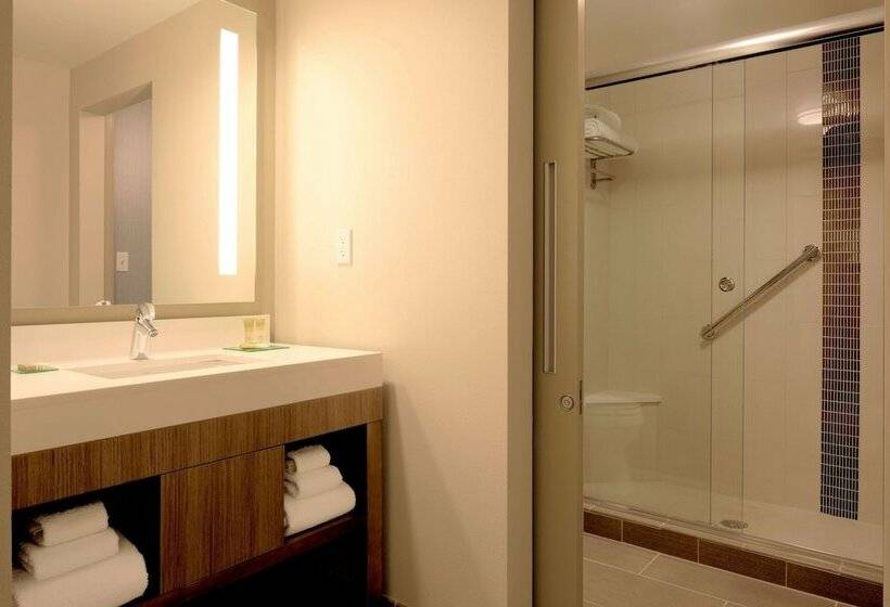 Номер Стандарт, Hyatt Place Detroit/royal Oak