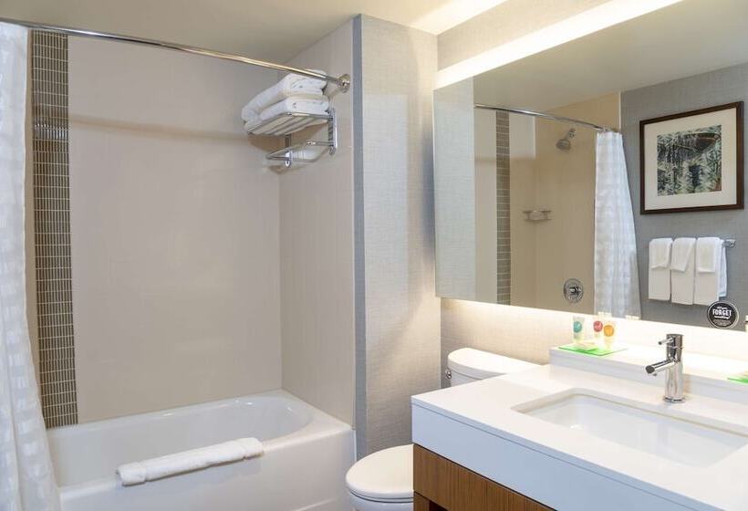 Quarto Estandar, Hyatt Place Detroit/royal Oak