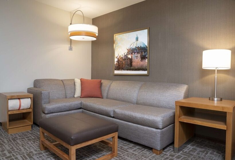 Номер Стандарт, Hyatt Place Detroit/royal Oak