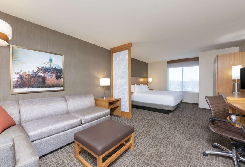Номер Стандарт Кровать Кинг Адаптированный для Инвалидов, Hyatt Place Detroit/royal Oak