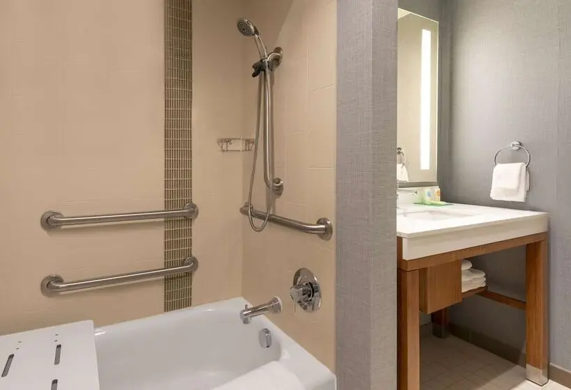 身障者適用スタンダードルーム, Hyatt Place Detroit/royal Oak