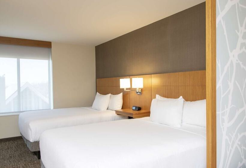 Quarto Estandar para Deficientes Físicos, Hyatt Place Detroit/royal Oak
