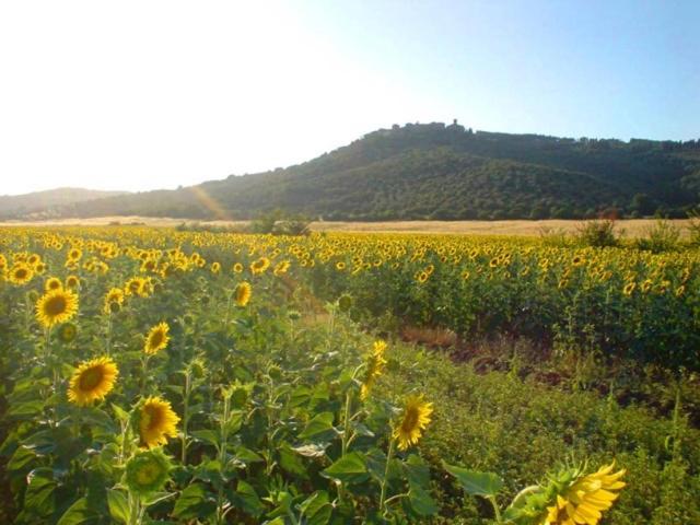 آپارتمان 1 خوابه, Agriturismo Lupo Vecchio