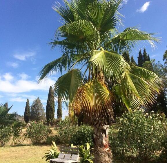 آپارتمان 1 خوابه, Agriturismo Lupo Vecchio