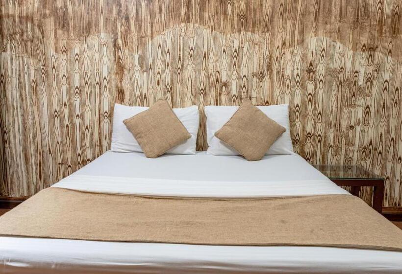 １ベッドルームハウス, O Camarao