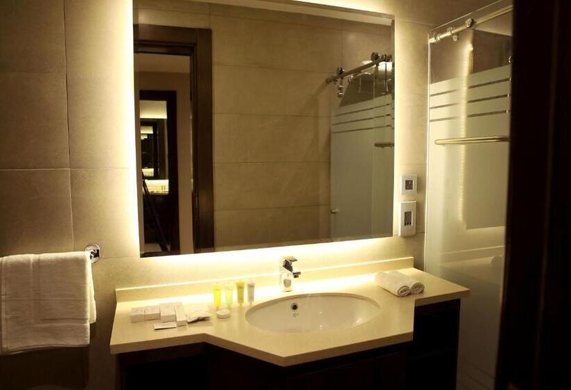سوئیت پریمیوم 2 خوابه, Downtown Hotel Apartments