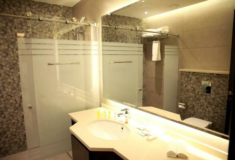 سوئیت کلاسیک, Downtown Hotel Apartments