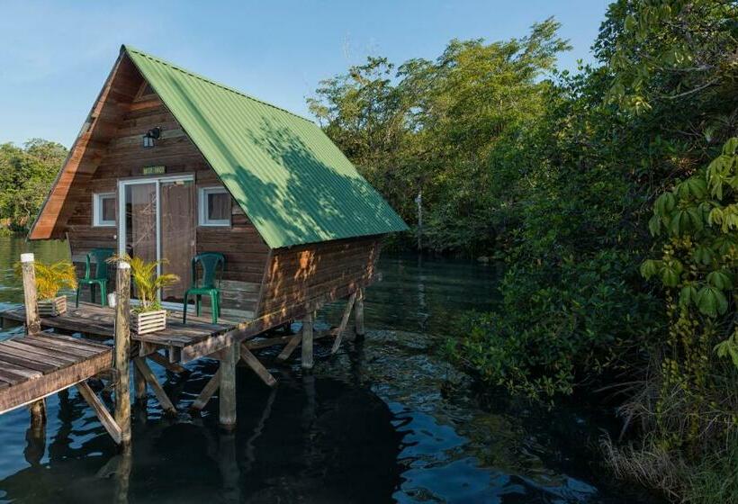 اتاق استاندارد, Hacienda Tijax Jungle Logde