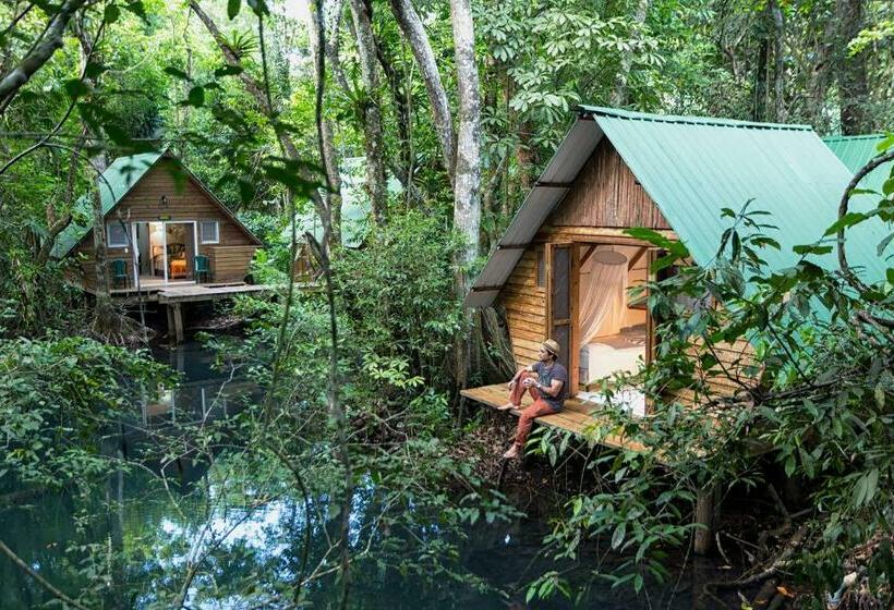 اتاق استاندارد, Hacienda Tijax Jungle Logde