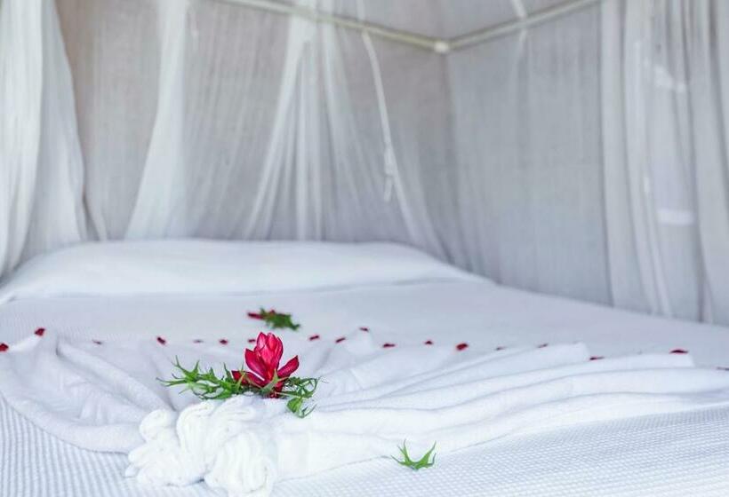 اتاق استاندارد, Hacienda Tijax Jungle Logde