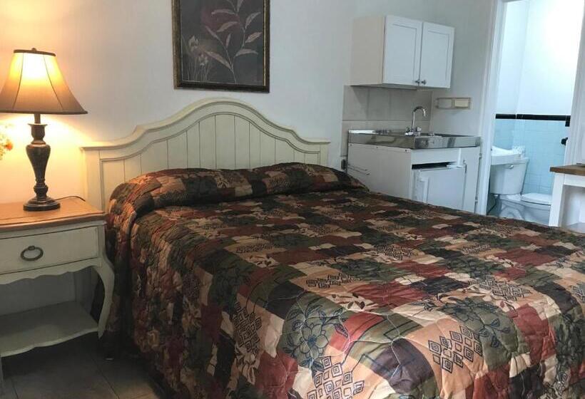 Студия Стандарт, Shell Motel Hollywood