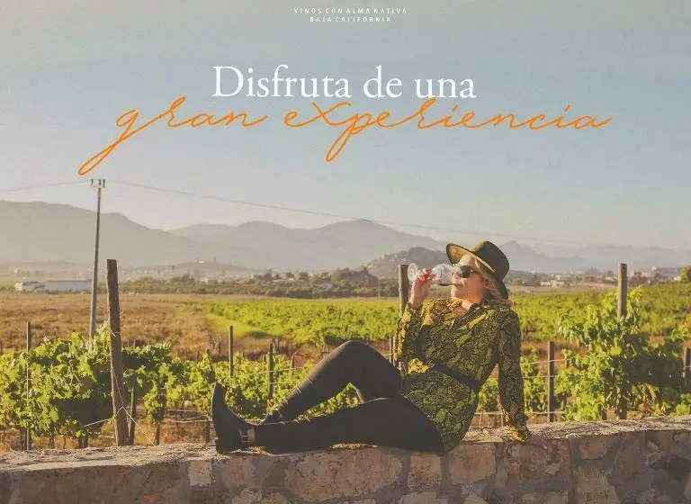 Deluxe-huone, Vinos Xecué