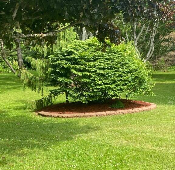 غرفة إقتصادية, Sunny Isle Motel