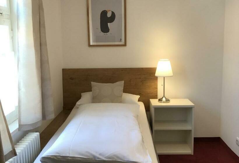 Standard Yhden Hengen Huone, Hohe Schule