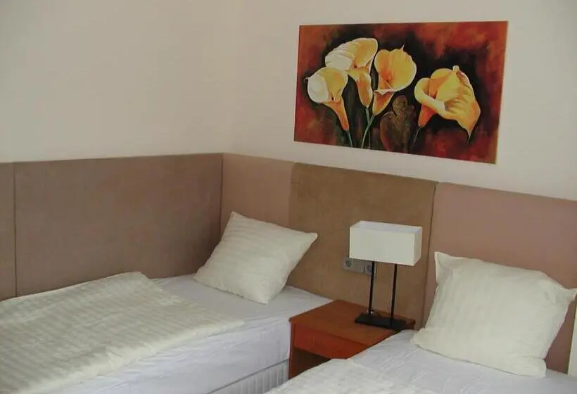 Standard Yhden Hengen Huone, Motel Monteur