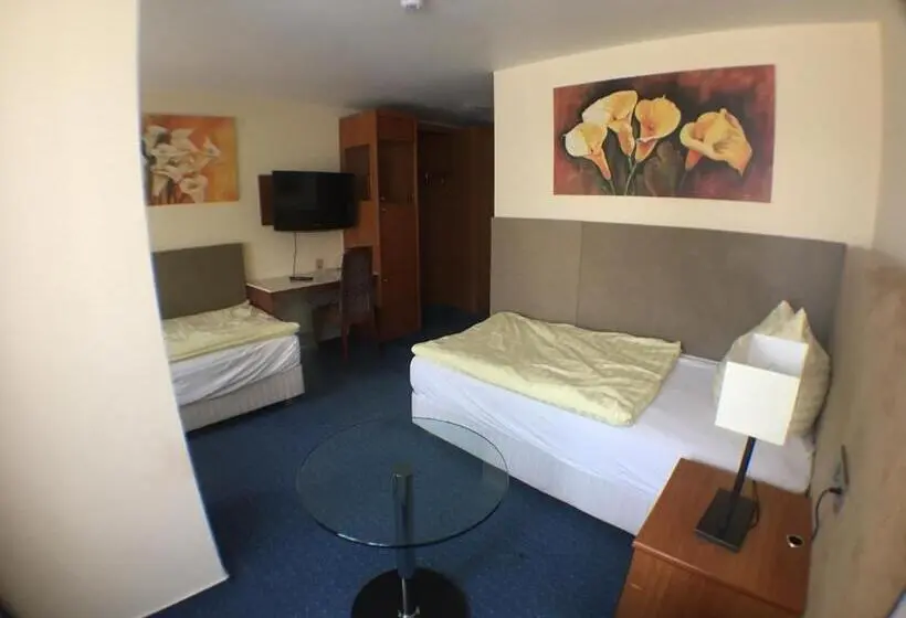 Standard Yhden Hengen Huone, Motel Monteur