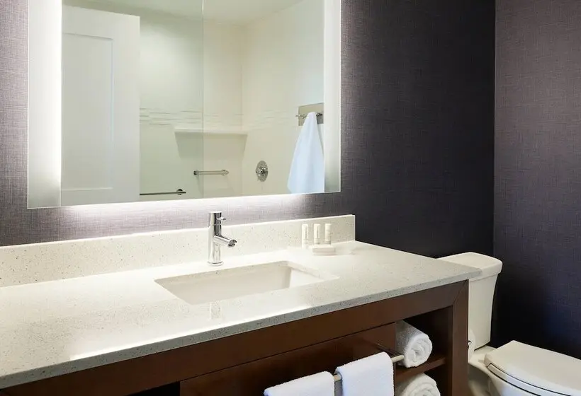 身障者適用スイートルーム, Residence Inn By Marriott Dallas By The Galleria
