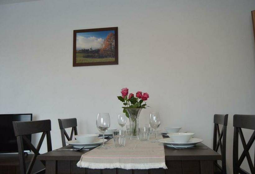 1 Szobás Deluxe Apartman, Kolonie