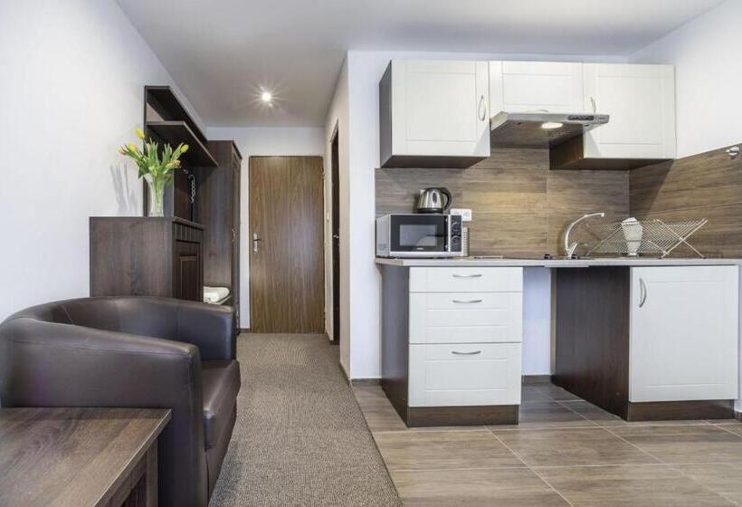 Standard Stúdiószoba Franciaággyal King Size, Kolonie