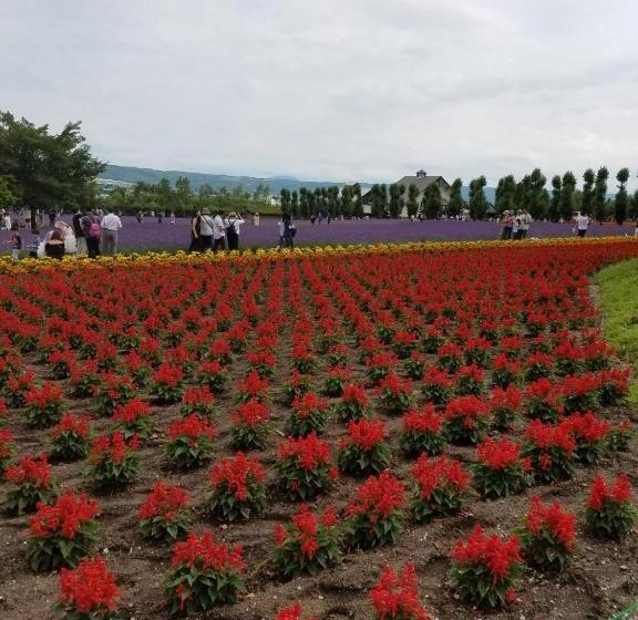 غرفة قياسية مزوَّدة بشُرفة, Furano Mount Villa