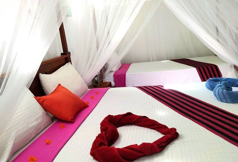 컴포트 룸, Silver Dome Guest House