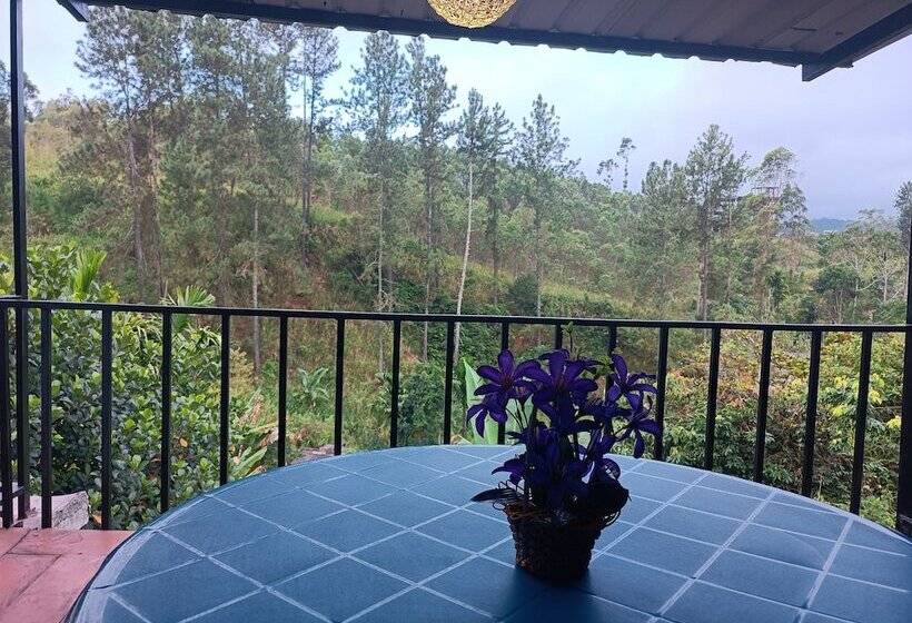 산전망 스위트 디럭스, Silver Dome Guest House