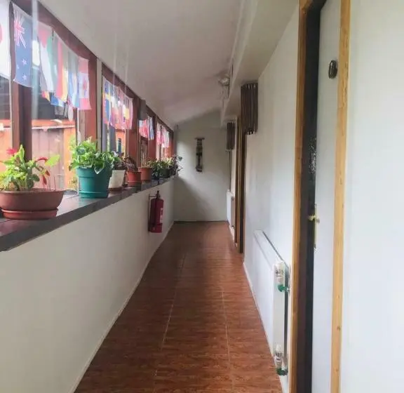 Standard Einzelzimmer Geteiltes Bad, Hostal Irma