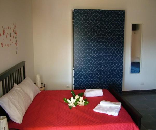 Standard Szoba, Terra Magica