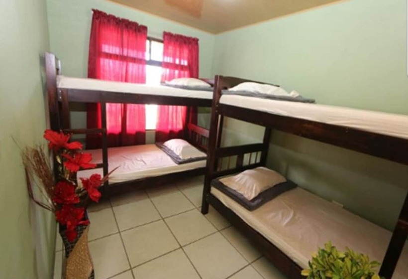공동 객실, Hostel Cattleya   Monteverde, Costa Rica