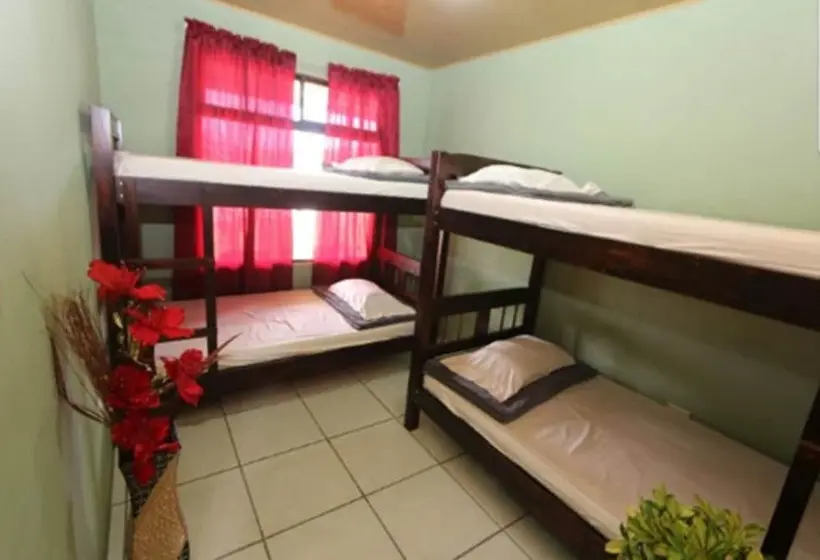 تختخواب در اتاق مشترک, Hostel Cattleya   Monteverde, Costa Rica