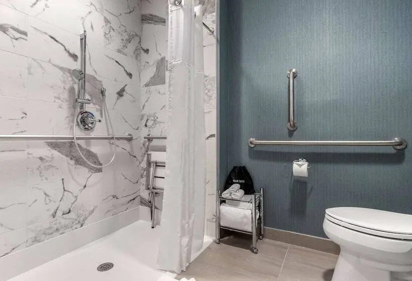 身障者適用キングサイズベッドルーム, Cambria Hotel West Orange