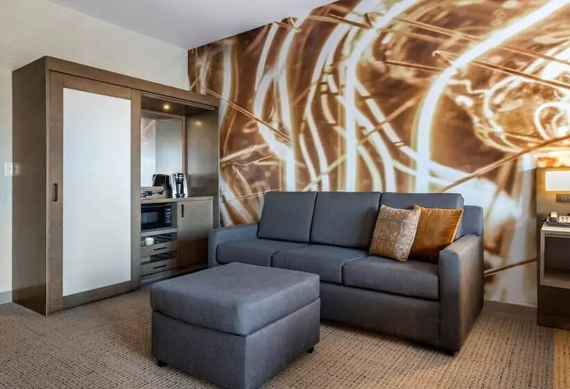 身障者適用キングサイズベッドルーム, Cambria Hotel West Orange