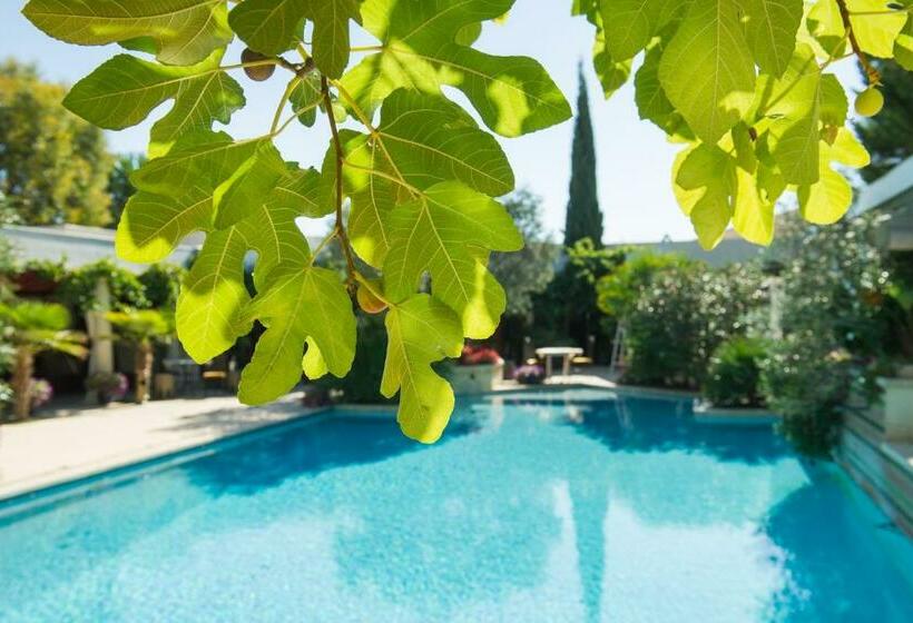 חדר סטנדרט נוף לגינה, La Villa Majorelle