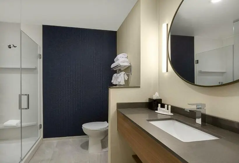 キングサイズベッドのスイートルーム, Fairfield Inn & Suites By Marriott Shelby