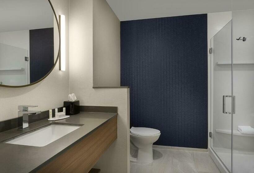 غرفة قياسية سرير كينج, Fairfield Inn & Suites By Marriott Shelby