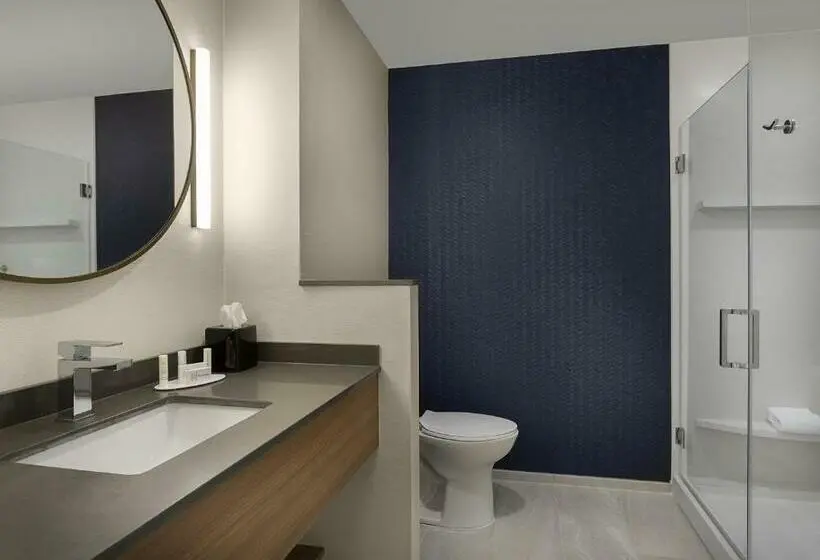 キングサイズベッドのスタンダードルーム, Fairfield Inn & Suites By Marriott Shelby