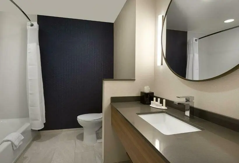 スタンダードルーム, Fairfield Inn & Suites By Marriott Shelby