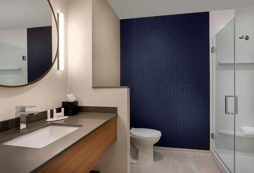キングサイズベッドのスタンダードルーム, Fairfield Inn & Suites By Marriott Shelby