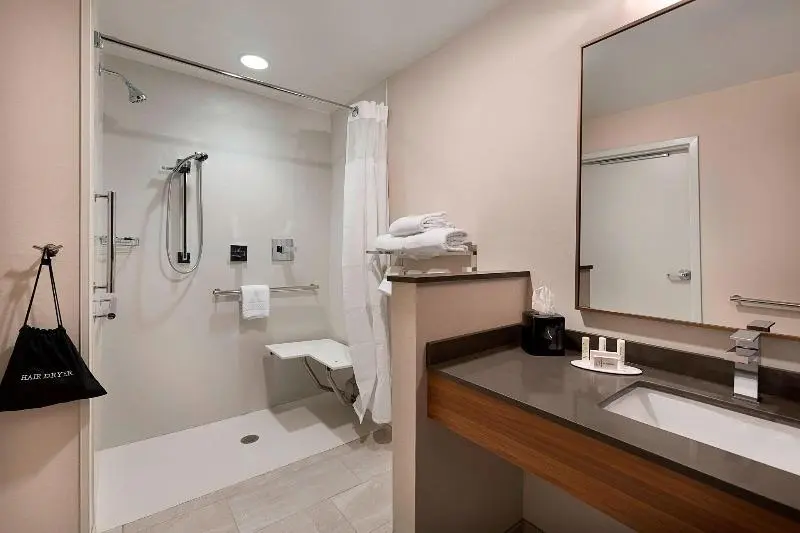 キングサイズベッドのスイートルーム, Fairfield Inn & Suites By Marriott Shelby