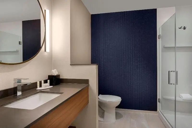 キングサイズベッドのスタンダードルーム, Fairfield Inn & Suites By Marriott Shelby