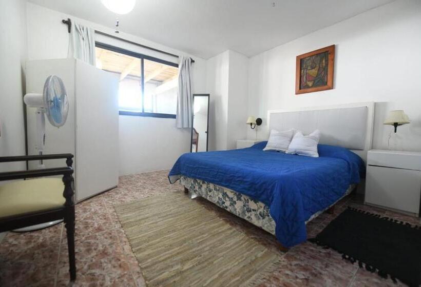 스탠다드 룸, Estrella De Mar