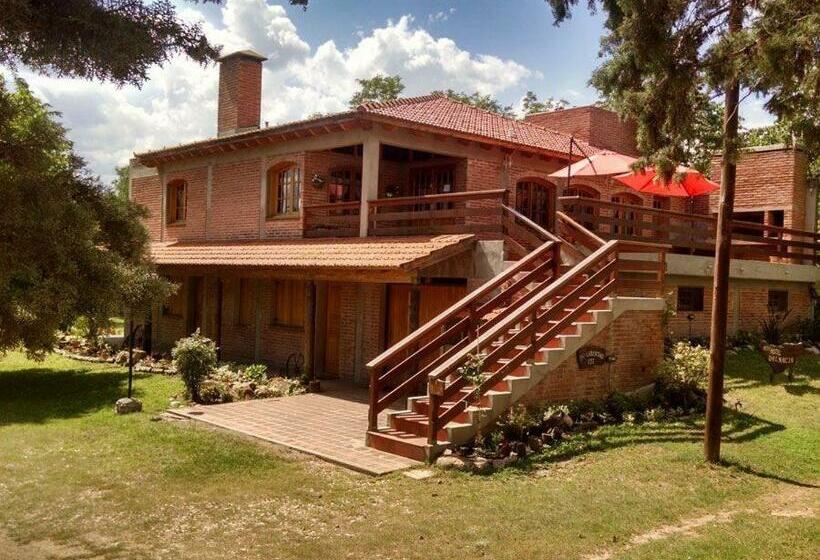 اتاق استاندارد, Dalmacia Petit