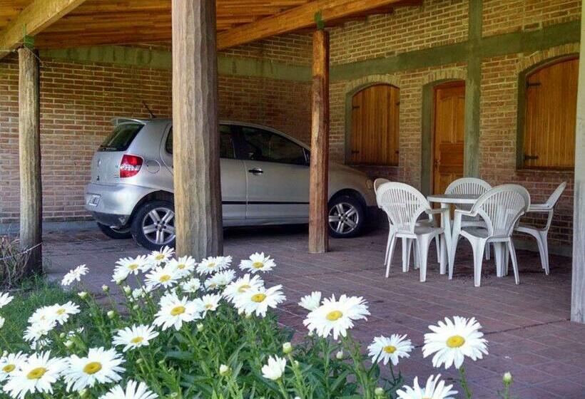 اتاق استاندارد, Dalmacia Petit