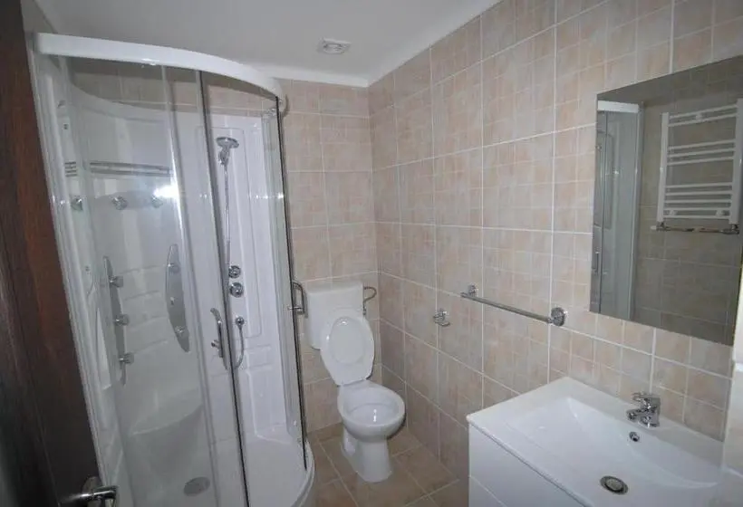 Deluxe-huone, Pensiunea Casa Zece